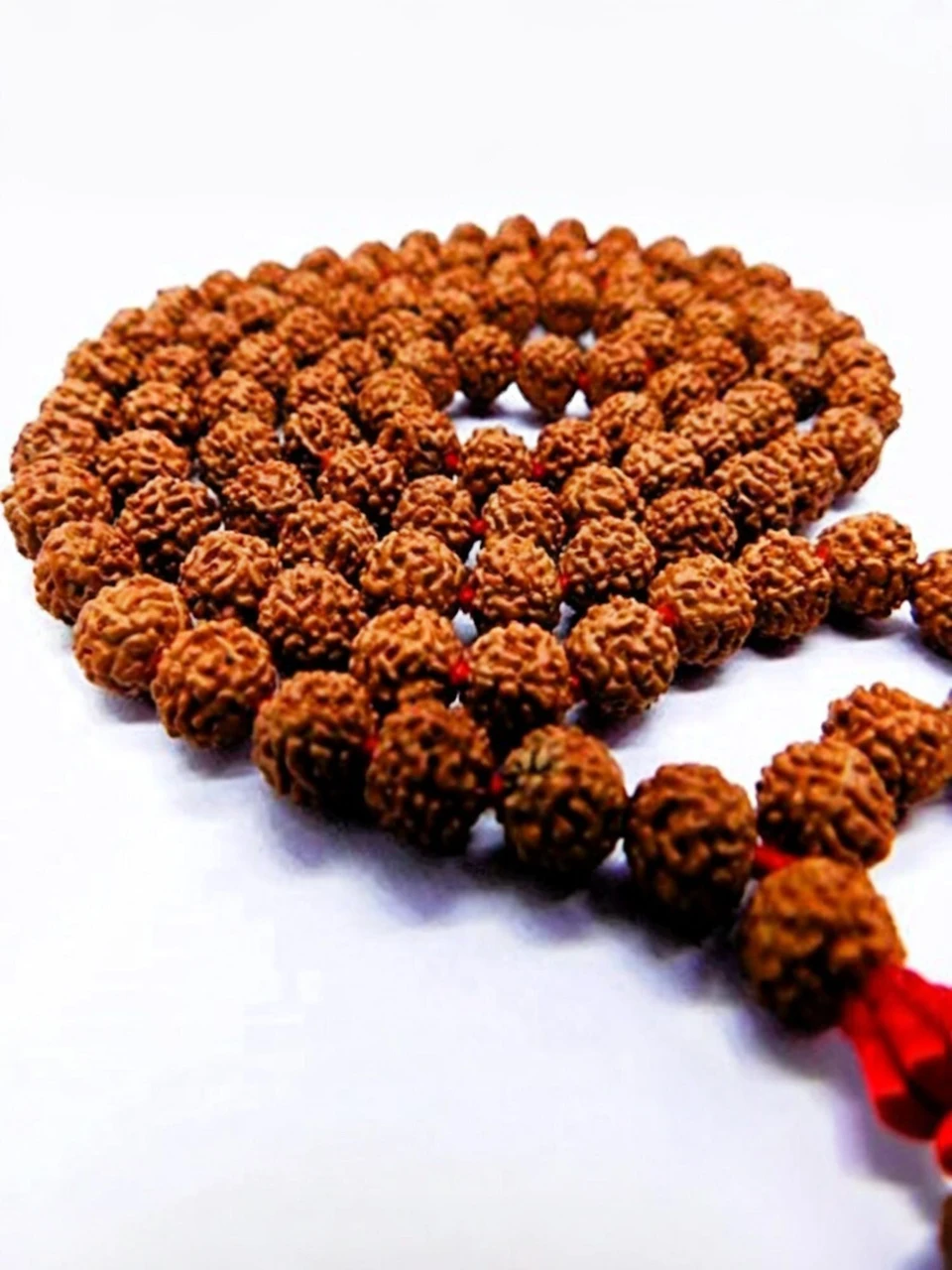 5 Mukhi Rudraksha Mala | 108 Beads | Original Certified